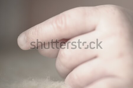 Strony słodkie mały palce Zdjęcia stock © runzelkorn