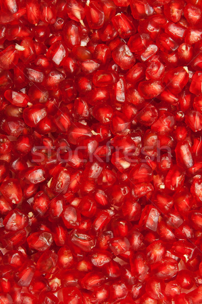 Background of red  seeds Stock photo © RuslanOmega