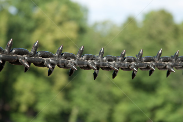 Chain with thorn Stock photo © RuslanOmega