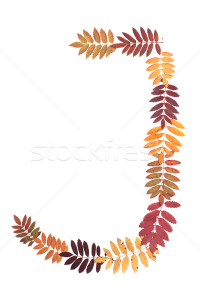 Letter of the alphabet J Stock photo © RuslanOmega