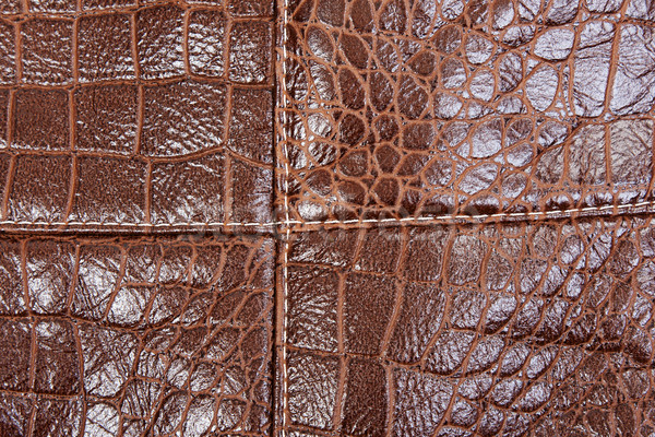 Stock photo: Background of brown leather