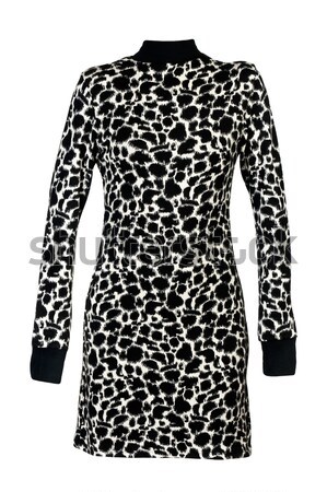 Vestir leopardo isolado branco moda Foto stock © RuslanOmega