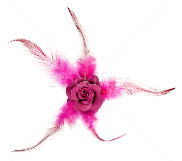 Pink rose fabric with feathers Stock photo © RuslanOmega