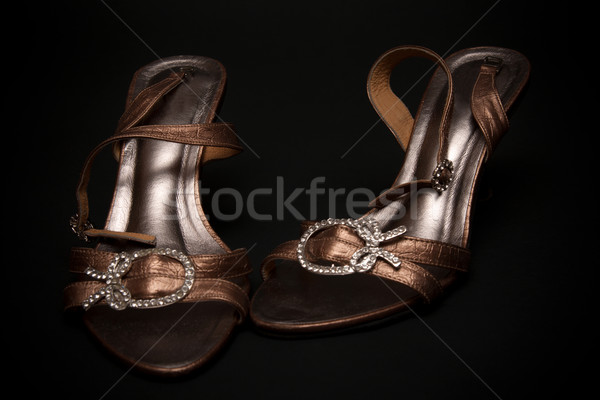 Feminine loafers from golden skin Stock photo © RuslanOmega