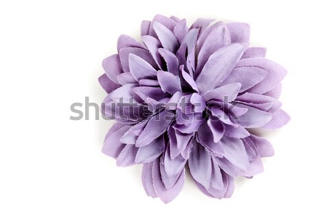 purple flower from tissue Stock photo © RuslanOmega