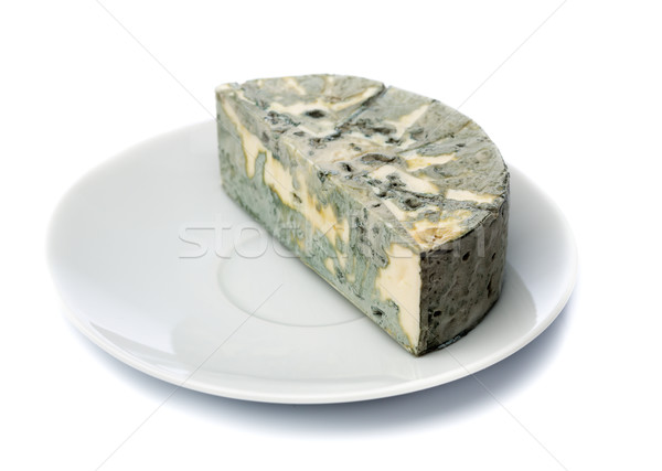 Cheese with black mold on a plate for food lovers. Stock photo © RuslanOmega