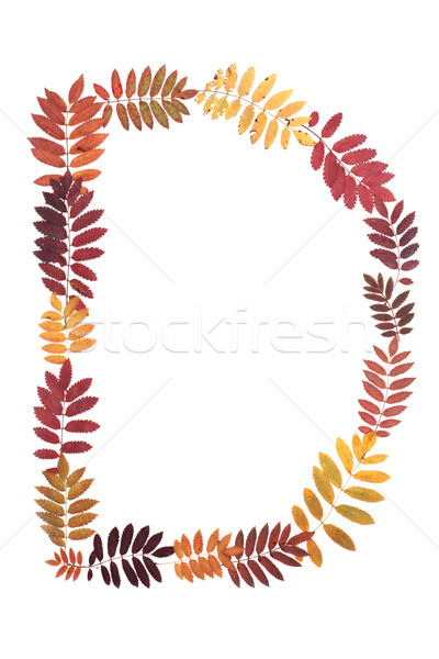 Letter D from alphabet Stock photo © RuslanOmega