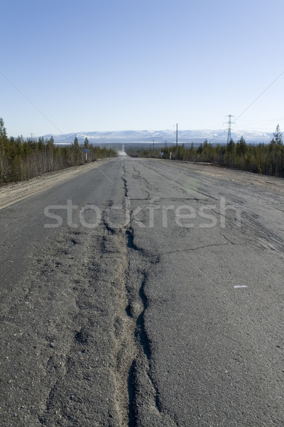 Splitting road Stock photo © RuslanOmega