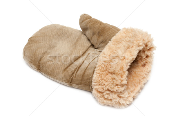 Winter mitten Stock photo © RuslanOmega