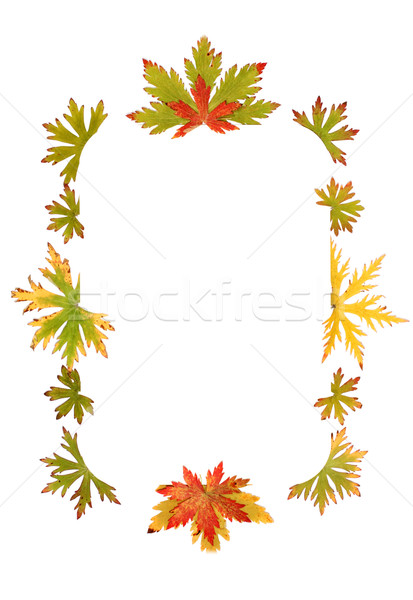 Stockfoto: Najaar · vel · frame · papier · abstract · natuur