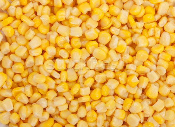 溼 性質 / background of yellow ripe appetizing wet corn