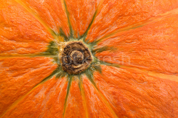 Fresh pumpkin close-up. Stock photo © RuslanOmega