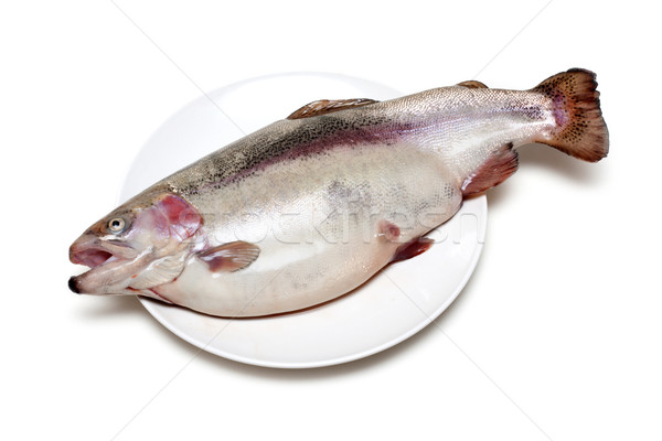 [[stock_photo]]: Poissons · truite · plaque · rangée · blanche · oeil