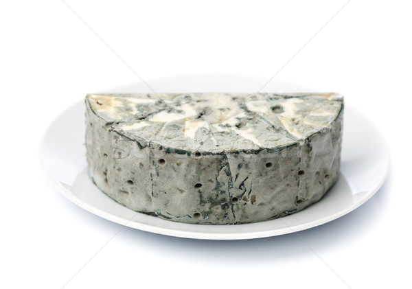 Cheese with black mold on the plate. Stock photo © RuslanOmega