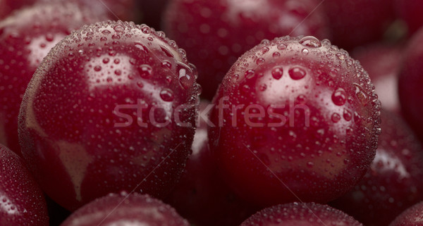 Anime közelkép cseppek víz kettő cseresznye Stock fotó © RuslanOmega