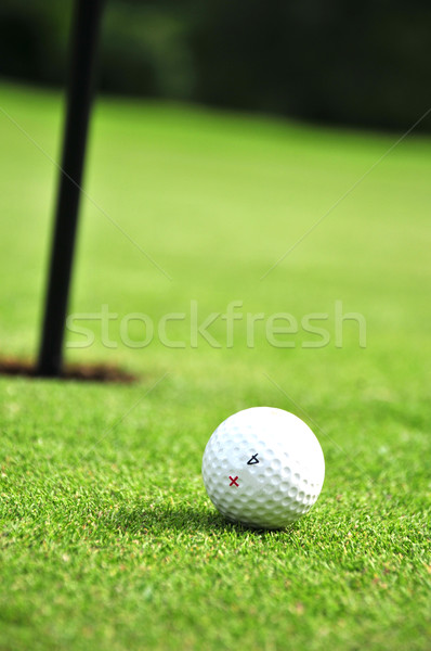 Golf ball and hole Stock photo © russwitherington