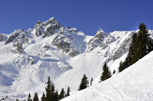 Alpine berg bomen sneeuw gedekt Stockfoto © russwitherington