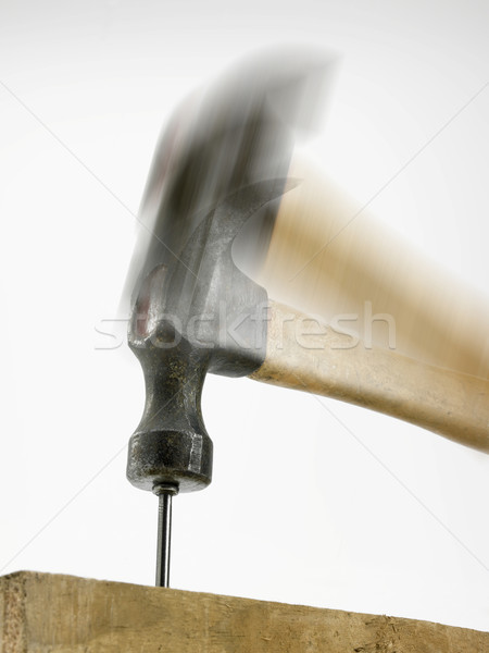 Hammer hitting nail Stock photo © russwitherington