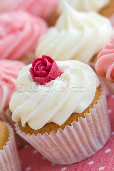 Assortiment rose blanche rose [[stock_photo]] © RuthBlack