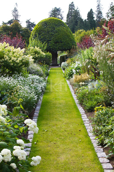 Jardin chemin belle fleur [[stock_photo]] © RuthBlack