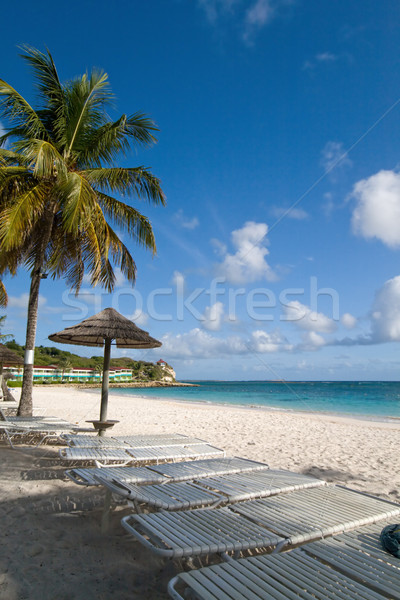 Caraïbes plage blanche bleu palmiers mer [[stock_photo]] © RuthBlack