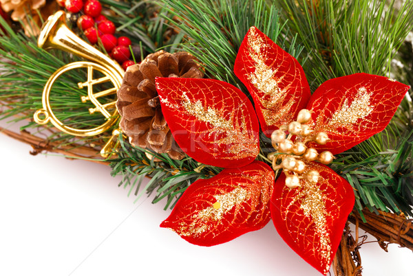 Holly berry flower and Christmas decoration Stock photo © ruzanna