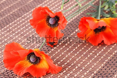 [[stock_photo]]: Bougie · rouge · fleur · isolé · bambou · feu