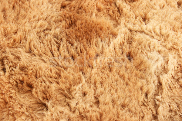 Fourrures textiles mode résumé design tissu Photo stock © ruzanna