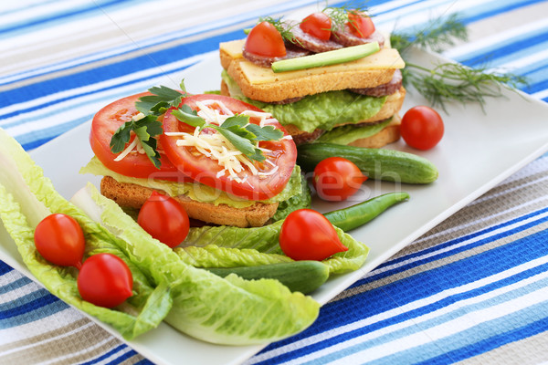 Sandviçler salam peynir kiraz domates otlar plaka Stok fotoğraf © ruzanna