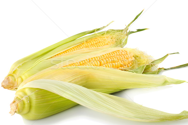 Stock photo: Corn cobs