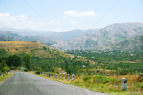 Armenian landscape Stock photo © ruzanna