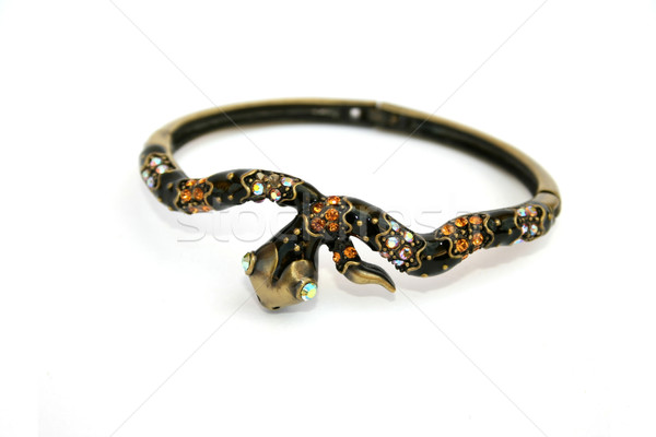 браслет змеи изолированный белый оранжевый черный Сток-фото © ruzanna