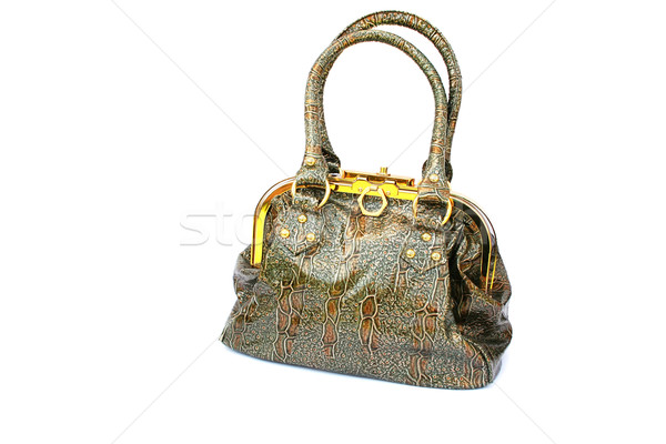 woman bag Stock photo © ruzanna