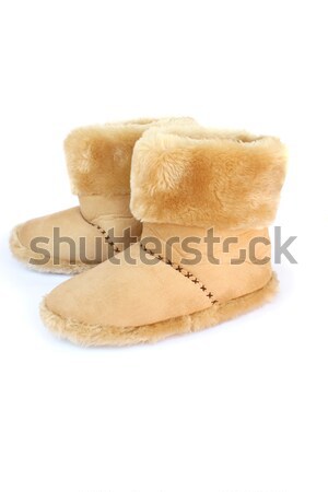 Warm winter home shoes Stock photo © ruzanna