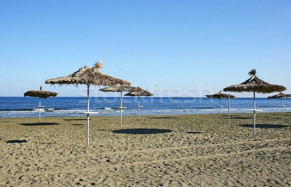 Vide plage automne Chypre ciel [[stock_photo]] © ruzanna