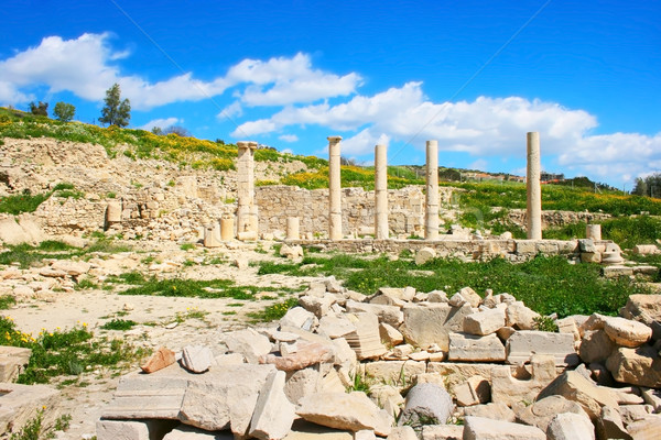 Amathus ruins Stock photo © ruzanna