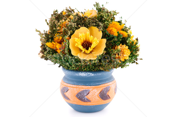 Flowers in vase Stock photo © ruzanna