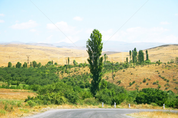 Armenian landscape Stock photo © ruzanna