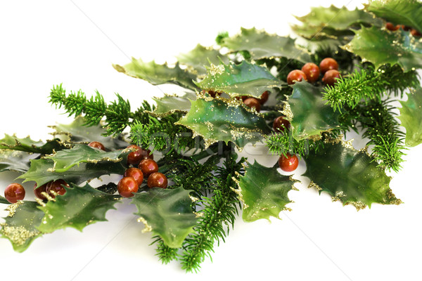 Holly berry Stock photo © ruzanna