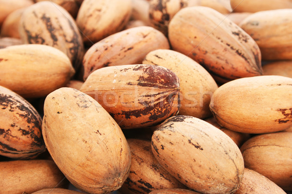 Pecan nuts Stock photo © ruzanna