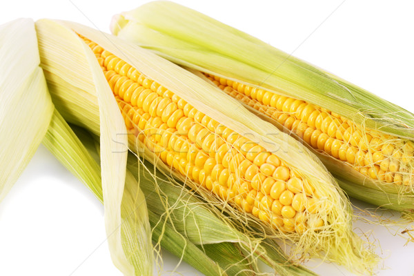 Stock photo: Corn cobs