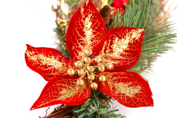 Holly berry flower and Christmas decoration Stock photo © ruzanna