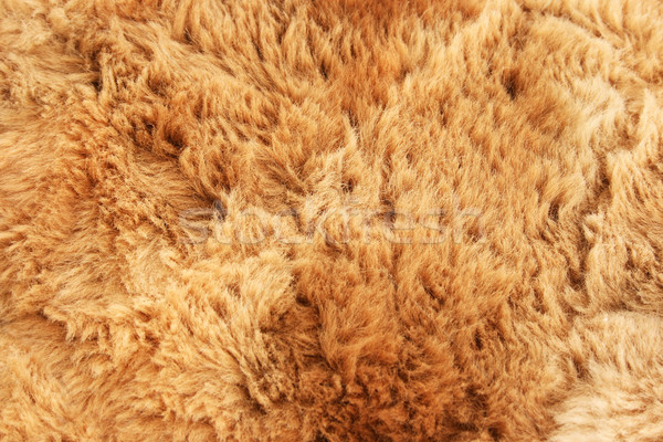 Fur background Stock photo © ruzanna