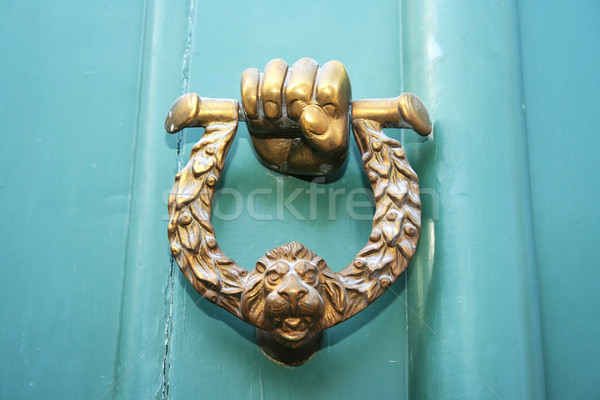 обрабатывать стороны лев голову двери дизайна Сток-фото © ruzanna