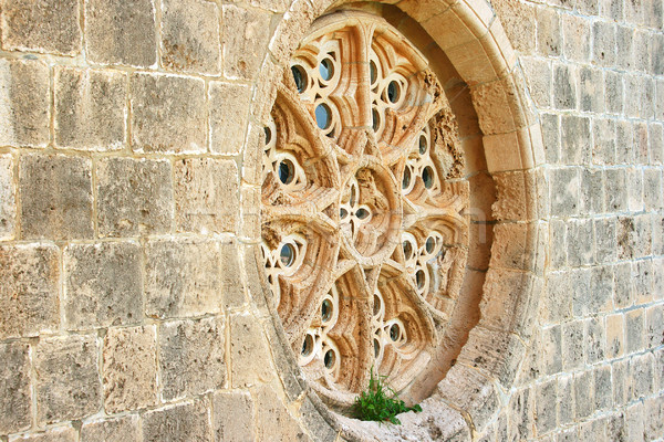Bellapais abbey Stock photo © ruzanna