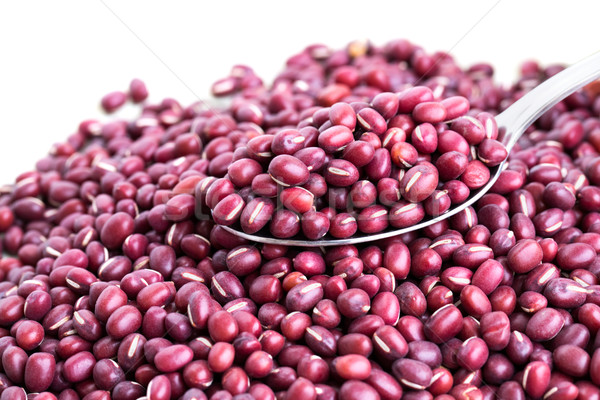 Rouge bean isolé blanche texture nature Photo stock © ruzanna