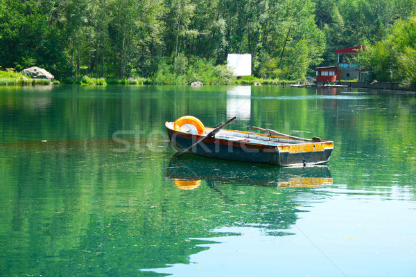 Lake in park Stock photo © ruzanna