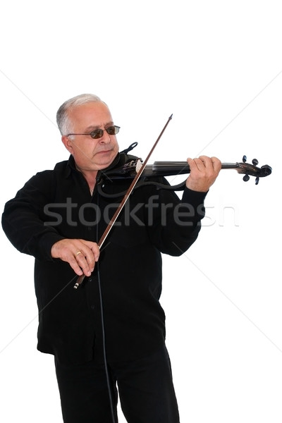 Hegedűművész zeneszerző fehér bemutató profi férfi Stock fotó © ruzanna
