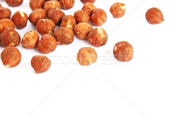 Hazelnuts Stock photo © ruzanna