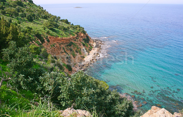 Península Chipre naturaleza reserva mar verano Foto stock © ruzanna